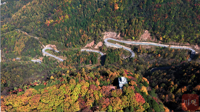 组图 | 是时候啦！旺苍彩林有“亿点点”美