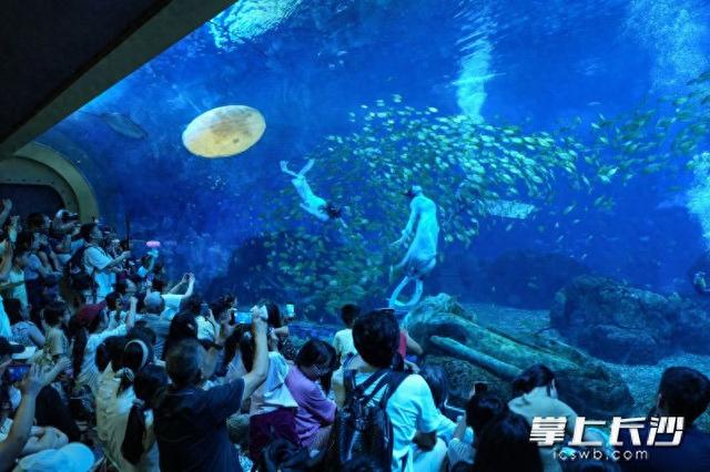 湘江欢乐海洋国潮来袭，水下“嫦娥奔月”引爆双节人气丨组图