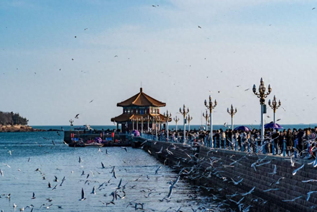 全国财经大V青岛行｜这次去青岛，我发现它的野心很大！