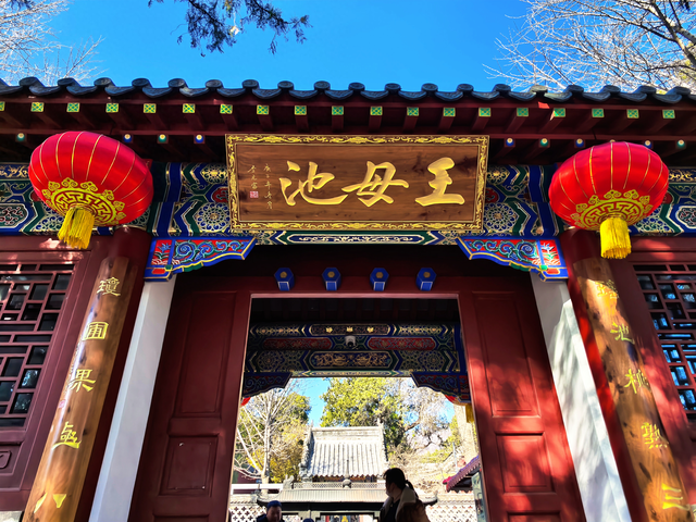 泰山王母池蜡梅初绽 花叶同枝尽显冬日诗意