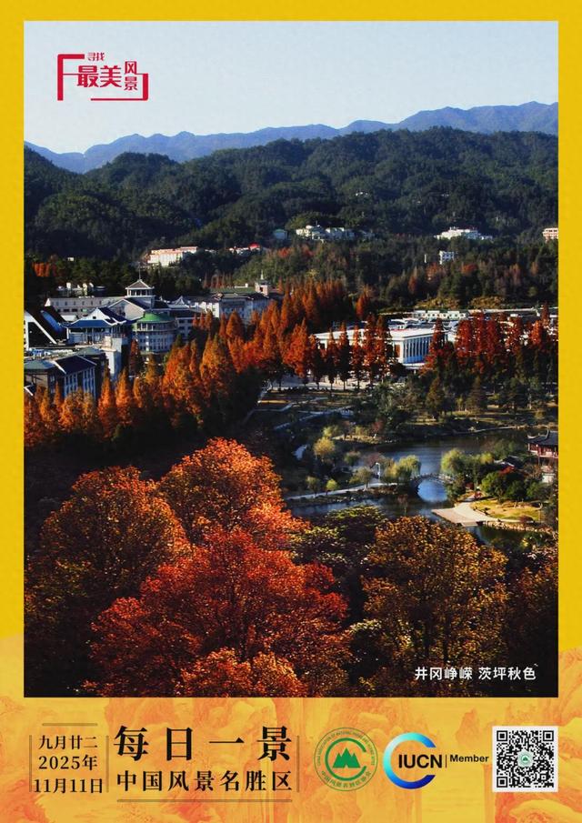 每日一景 | 井冈峥嵘 茨坪秋色