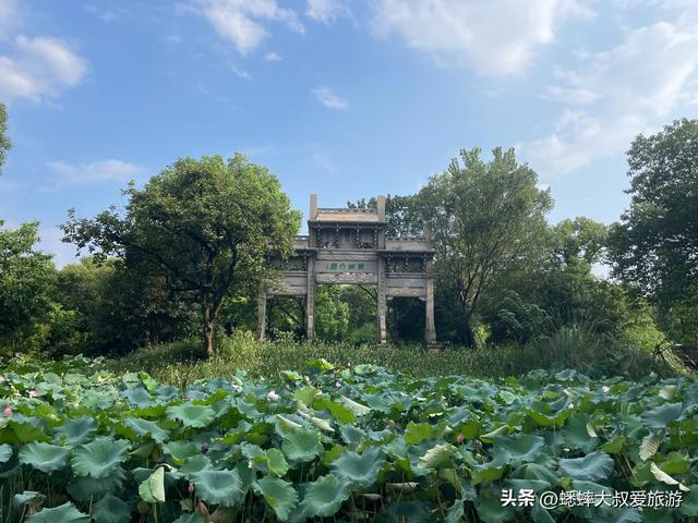 西溪湿地公园游玩攻略：三大区域吃喝玩乐，最低0元游，推荐收藏