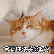 shampoo是什么意思中文翻译（洗头发千万别翻译成 wash hair外国人根本不这样说）