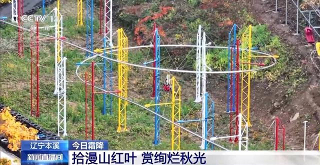 赏枫、品蟹、喝汤 霜降的仪式感拉满了~