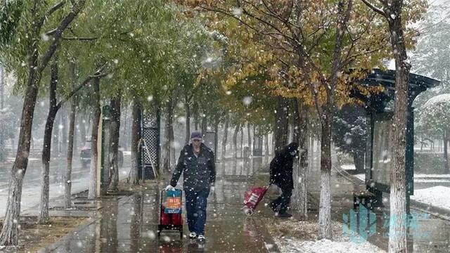 哈尔滨17日再迎降雪，五花山色映白雪宛如童话