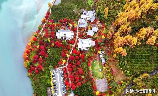 汶川县卧龙2025年彩林季系列活动正式启幕