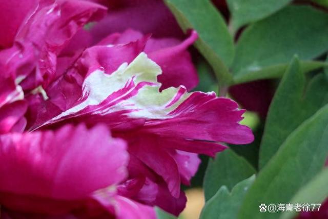 今日情感文章：如果有人心疼你的坚强，那一定是把你爱到了骨子里