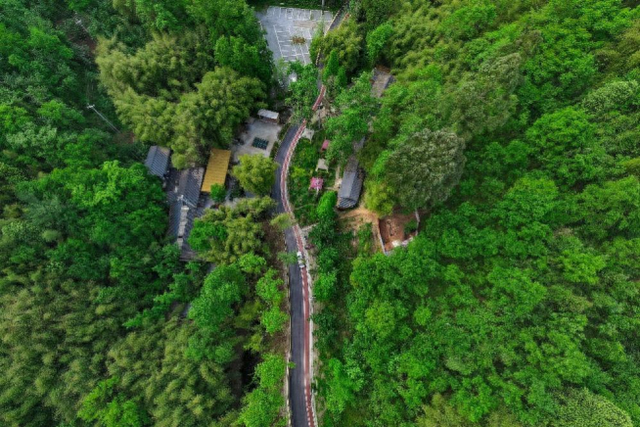 金秋十月去哪儿 万千气象成都行丨金秋嗨购 奔赴山野把“乡味”带回家