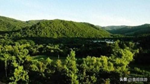 黑龙江青山国家森林公园：北国林海的梦幻之境