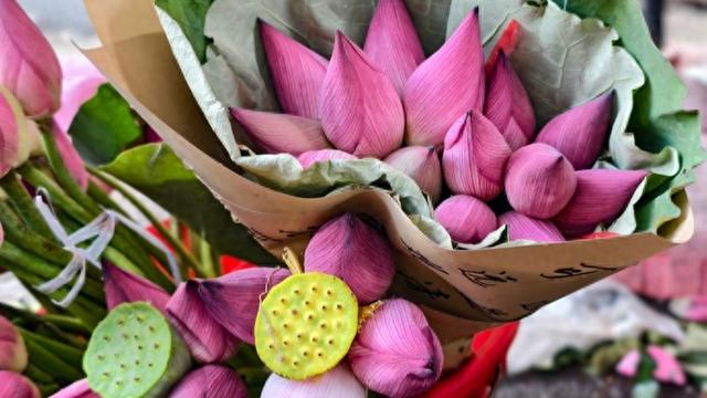 野荷成市 风景未央