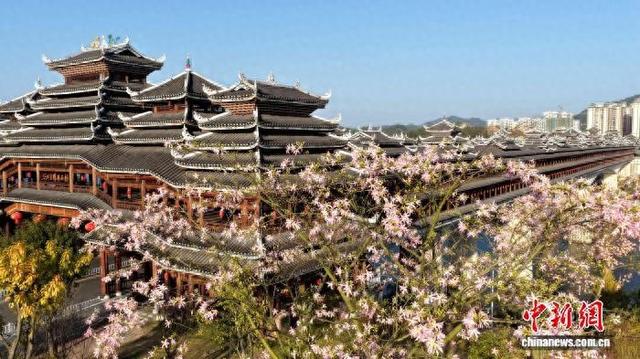 广西三江侗乡：花映廊桥美如画