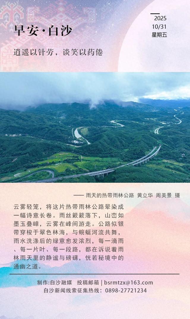 每日一景 | 白沙云雾里，热带雨林公路的静谧诗篇