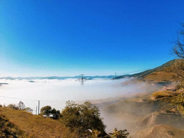 诗遇青岚