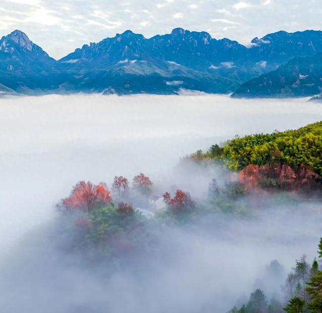 跟着李白游池州——池州市政协考证“李白诗路”赋能文旅融合