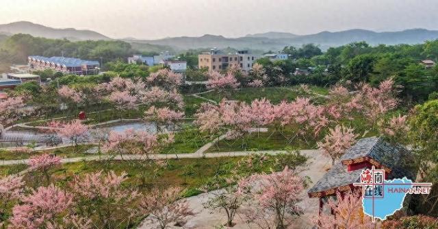 国庆逢中秋海垦邀您“农场Walk”!国风、康养、住宿福利一站全享