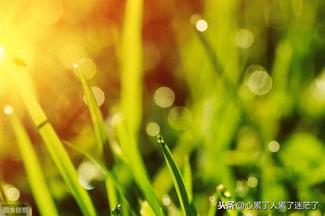 空虚寂寞冷下一句是什么（人生感悟空虚寂寞冷）