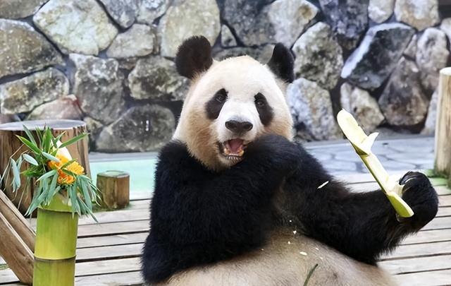 53年来首次，日高官求中方一件事，不到24小时	，高市涉台措辞变了