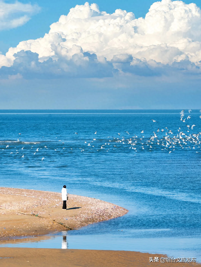 【乐游烟台】冬季的烟台真的是反向旅行的绝佳目的地！