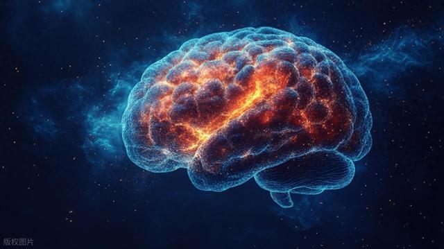 有记忆优化（神经科学揭示真正的天才）