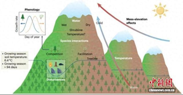 全球高山树线灌木线如何分布迁移？中国团队领衔研究揭示机制