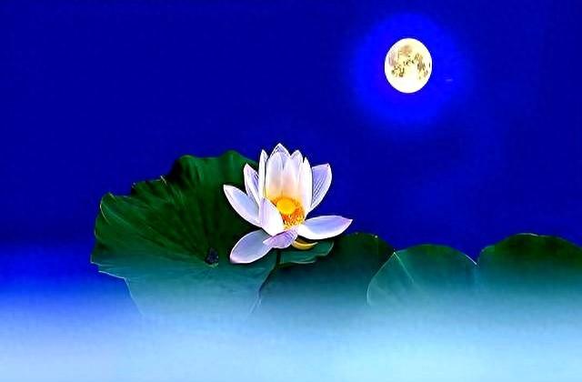 别说秋分凉快了。古人早道破阴阳相半玄机，这3处平分藏尽秋韵