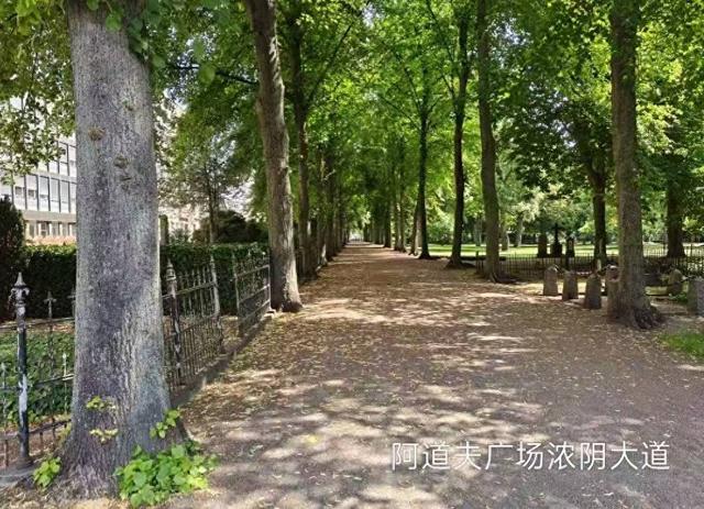 彩色旅图｜在马尔默路过阿道夫城市广场，无意间踏进一座美丽墓园