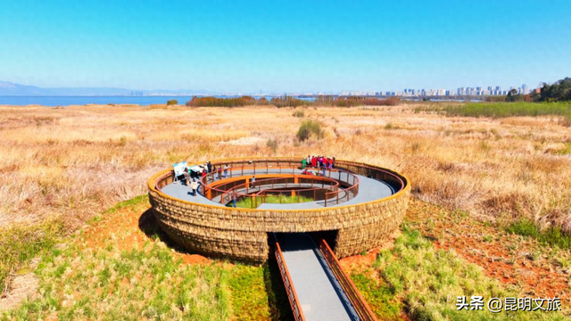 周末就冲！滇池边的骑行嘉年华来咯，持续报名中~