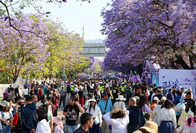 全城“追花”！航天北路开启“人从众”模式
