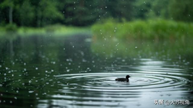 暴雨+打风突袭江苏！这个国庆假期是要泡汤？还是“乘风破浪”？