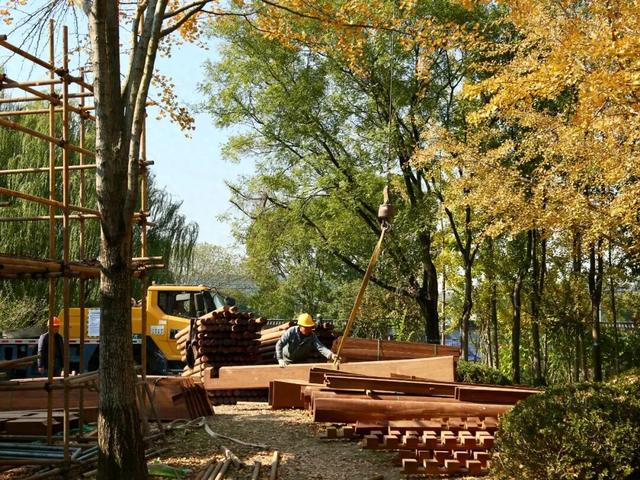 “上海0001号”所在古树公园正提升改造，将打造8大主题景点→