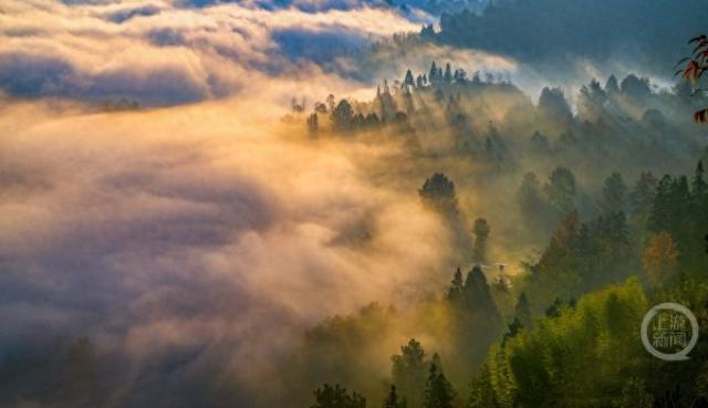 雾绕彩林伴冬阳