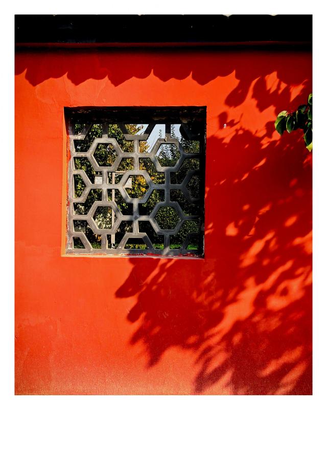 秋未央冬已至，此刻的石家庄毗卢寺正是秋色渐浓，一派秀丽风光。