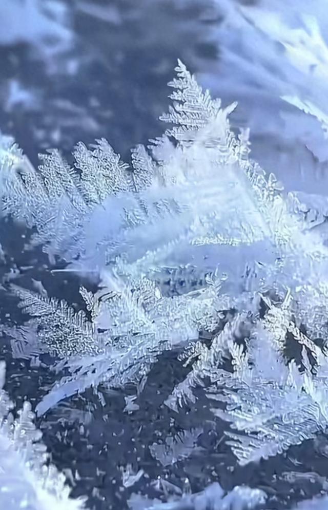 婚姻是一场极致修炼