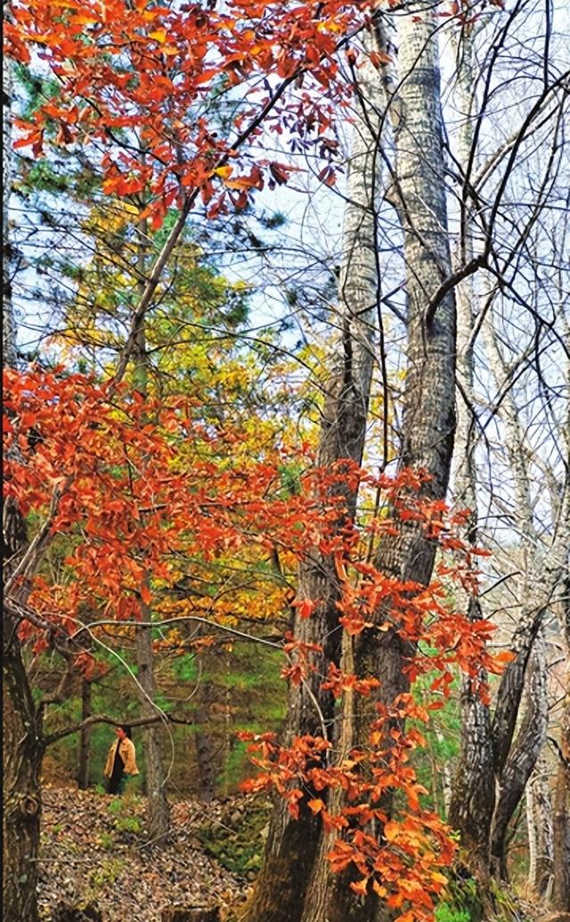 方山：山静溪潺潺 林中有洞天