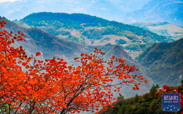 重庆巫山：初冬美景引客来