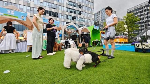 清凉一“夏”，真如镇街道这些“避暑胜地”有书香、萌宠、烟火气