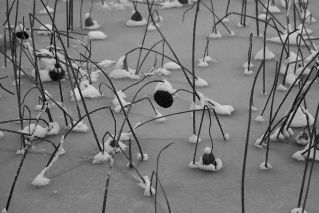 京郊冬日疗愈之旅 | 解锁北京小汤山医院绝美雪景