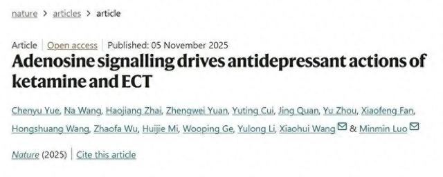 事关抑郁症治疗，重大发现！