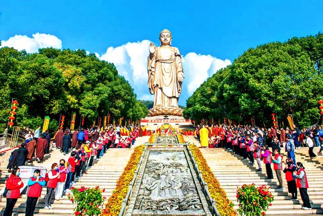 银杏鎏金,灵山胜境的璀璨之约