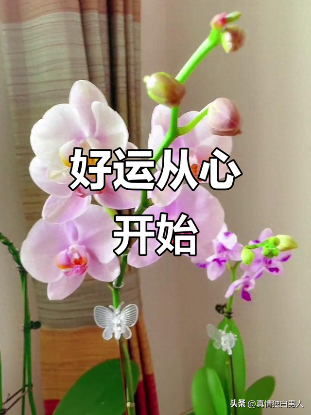 开开心心活好每一天