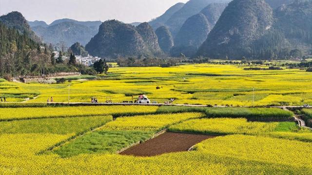 年假结束，打工人的旅行后遗症太真实了！不想上班的理由又增加了