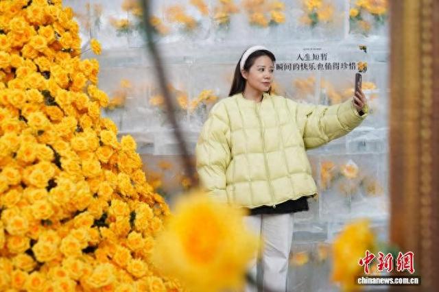 黑龙江哈尔滨：“冰封玫瑰”限定回归