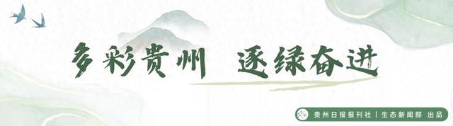【不一样的生态游】“漂”出新花样：享受“矿泉水”里的“清凉经济”