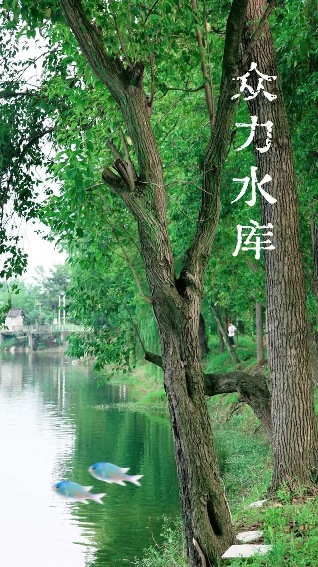 惊艳！绵竹这里竟藏着一个绝美水库，很多人都没去过......