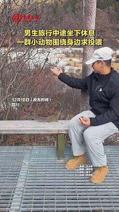 稻城奇遇:他一坐下，小鸟松鼠全来“围攻”！