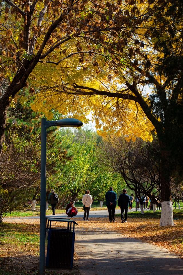 北京的秋天一定要奥林匹克森林公园！就是一场盛大的秋天盛宴