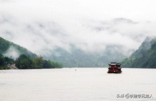 烟雨后柳