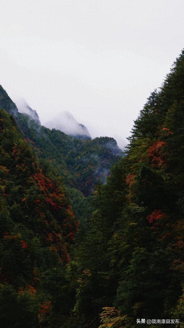 红叶遍山野，秋韵满望关