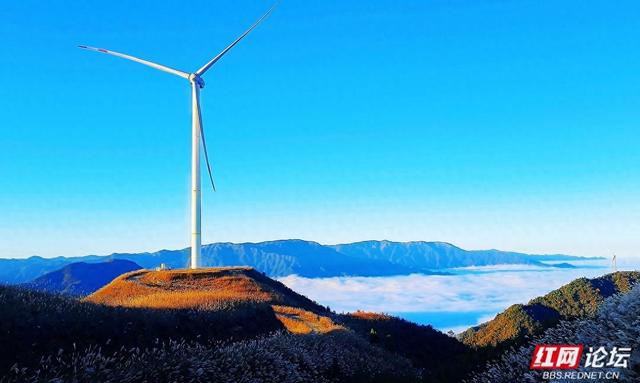 【每日一图@湖南】月夜风车与霞光云海同框？初冬的桂东万洋山做到了