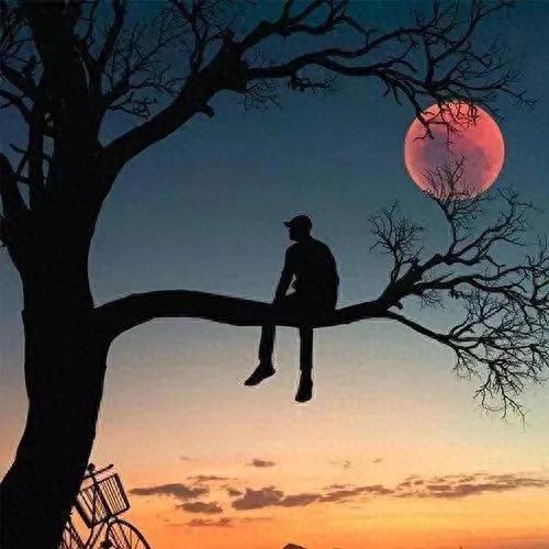 中年人微信名字大全男(适合中年人的微信头像)